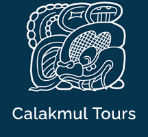 Calakmul Tours México, reservaciones para tours en  Calakmul